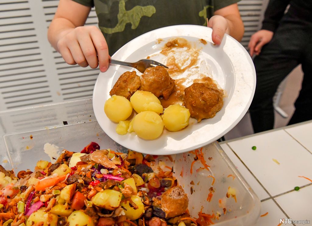 En person kaster uspiste kjøttkaker og poteter i en matavfallsboks. Foto.