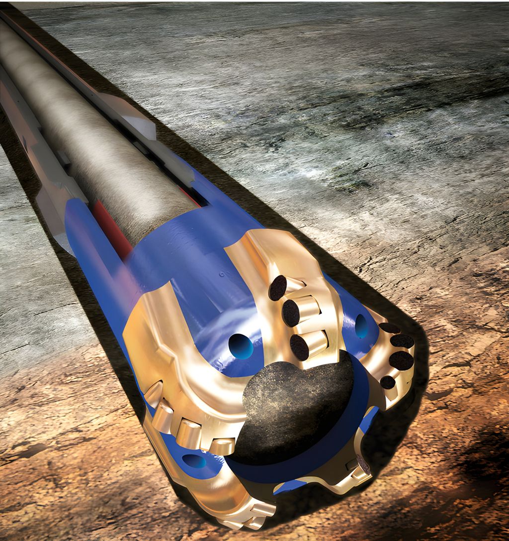 Kjerneborkrone. Illustrasjon.